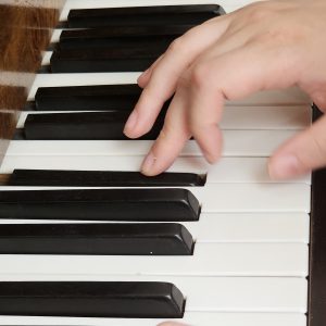 Keyboard fun with Jane Lane Piano